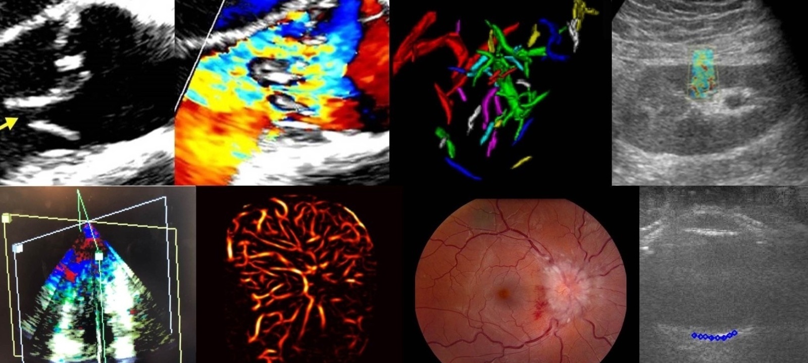 Radiation Oncology Course Mayo Clinic CME in Hawaii
