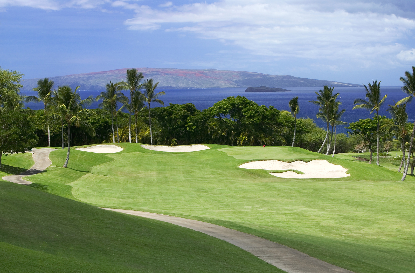 Radiation Oncology Course Mayo Clinic CME in Hawaii