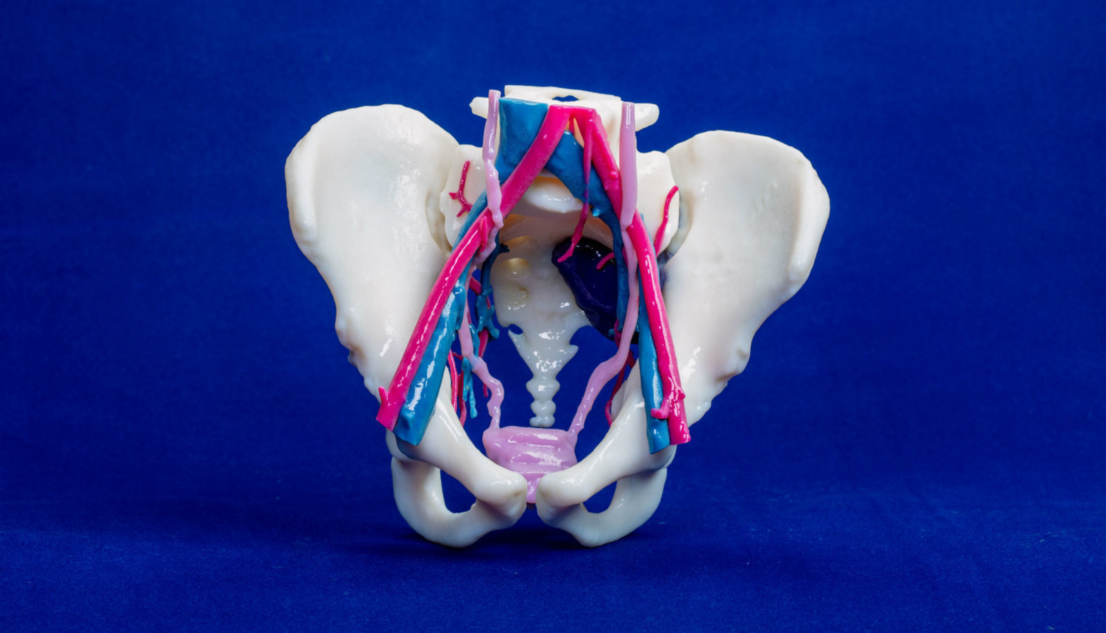RSNA 3D Printing Special Interest Group Retreat