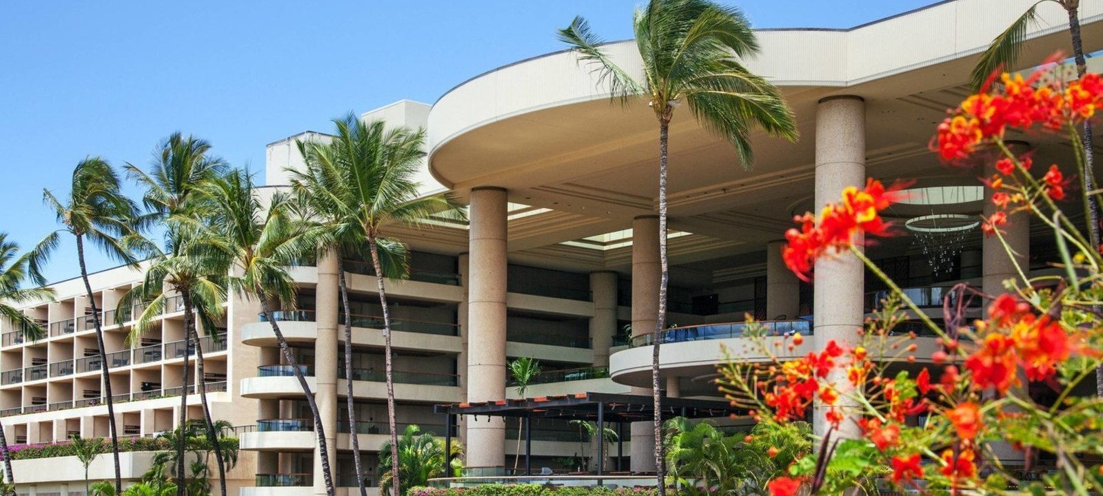 Tutorials in Diagnostic Radiology Mayo Clinic CME in Maui