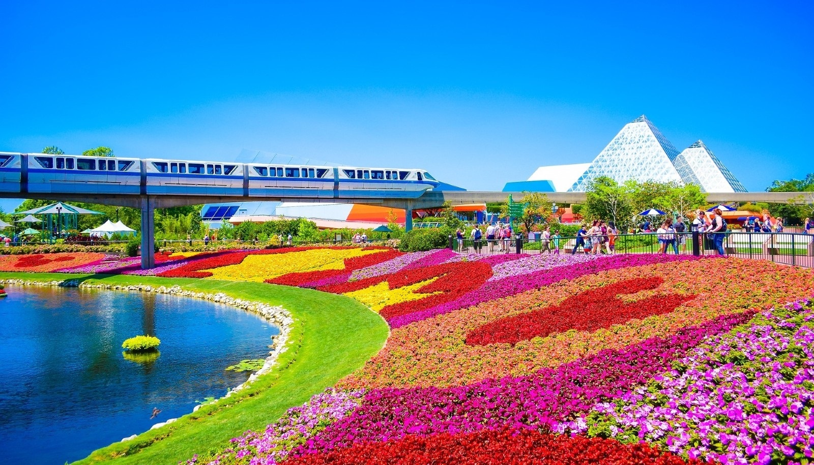 Advanced Body MRI 2026