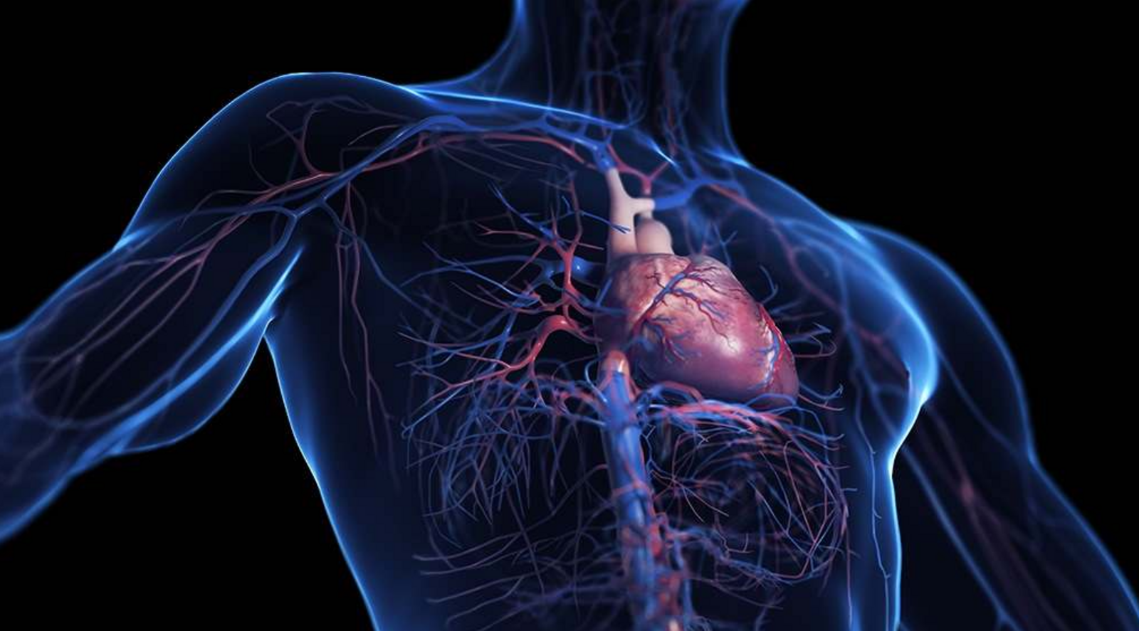 Emerging Techniques and Technologies in Cardiovascular Imaging 2027